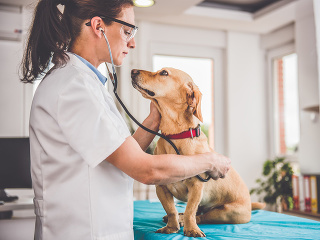 Tisíce eur za vášho