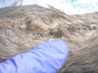 Šikovníci: Takmer krížikový steh.