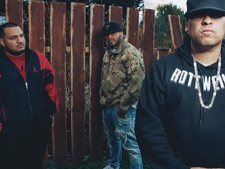 Vycibrené rapové flowy v