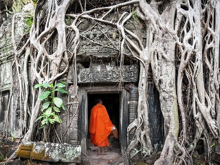 Chrám Ta Prohm v