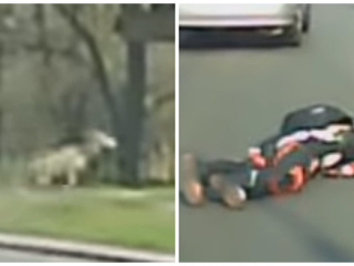 Zábery, z ktorých mrazí: