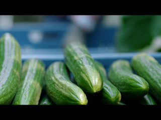 Kaufland začal s predajom
