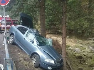 Auto narazilo do stromu.