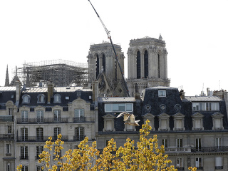Firma renovujúca strechu Notre-Dame