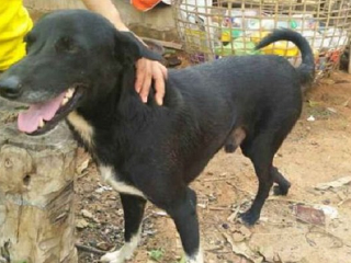 Thajsko má nového hrdinu: