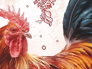 Test, ktorý zvládne každý!