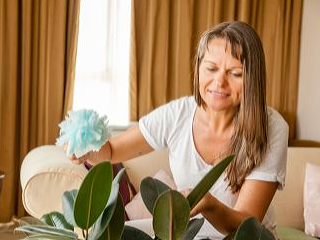 Potešia vás bez námahy: