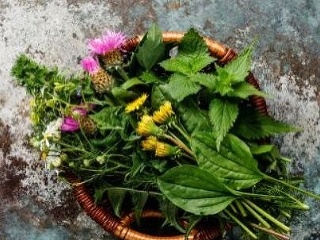 Vyťažte z byliniek maximum: