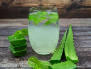 Aloe vera
