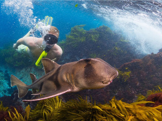 TOP vychytávky tohto leta: