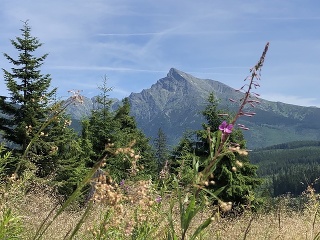 Pozorovanie medveďov v Západných