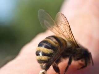 Alergická reakcia: Vystriekajte ústa