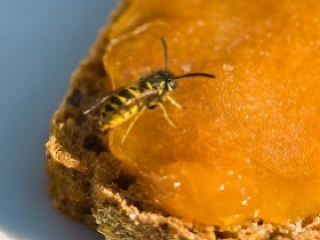 Toto urobte, keď vám