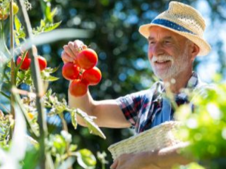 Prírodné hnojivá oživia každú