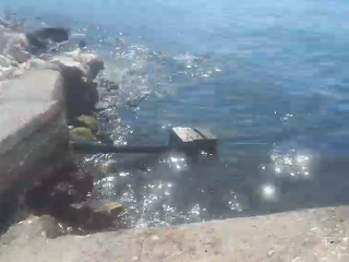 Hovnátsko! Chorvátske pobrežie zamorili