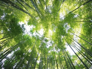 Atrakcia, ktorá nielen na