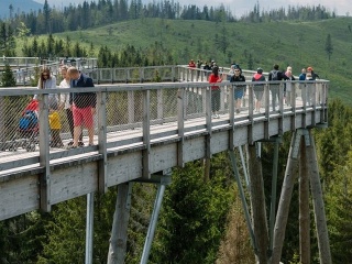 Chodník korunami stromov sa