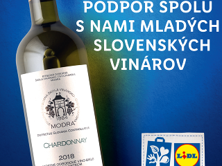 Lidl podporuje mladých slovenských