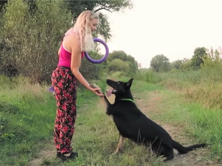 Chceš psieho miláčika naučiť