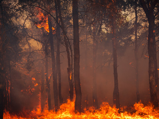 Grécko bičujú lesné požiare: