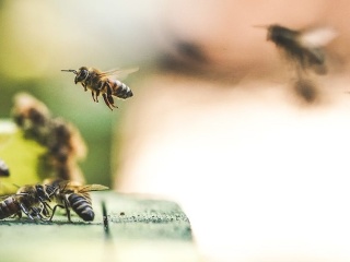 Perfektný nápad zo Švédska: