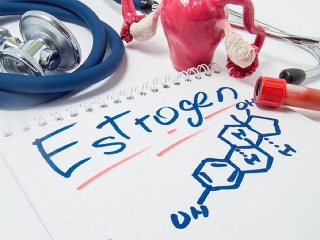 Netušená úloha estrogénu v
