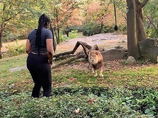 Žena šokovala návštevníkov zoo: