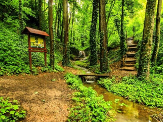 Jedna z najväčších rarít