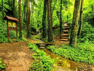 Jedna z najväčších rarít