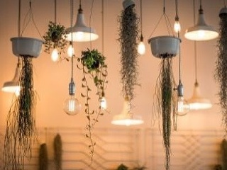 VIDEOTIP Vyzdobte si domov