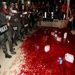 Demonštranti vyliali vlastnú krv