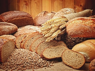 16.10. je Svetovým dňom