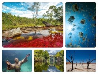 Svet neprestáva prekvapovať: Toto