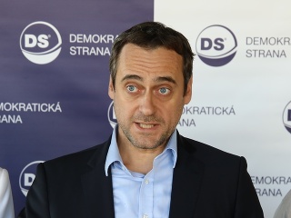 Demokratická strana, Socialisti.sk a