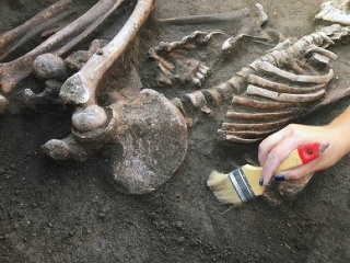 Mexickí archeológovia objavili vyše
