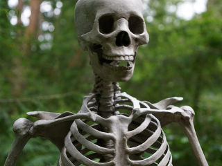 KVÍZ Čo všetko (ne)vieš