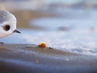 VIDEO Pobavia, ale aj