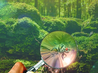 KVÍZ Pod lupou: Dokážete