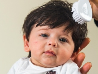 Toto háro nemá páru: