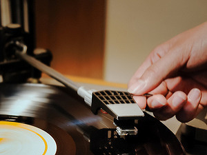 Predátor a korisť: Návrat