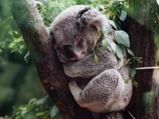 VIDEO, ktoré ťa chytí