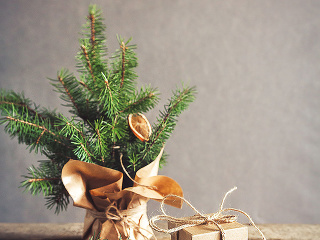 Užitočné vianočné tipy: Ako