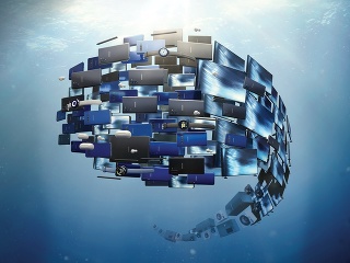 V rámci akcie Výlov