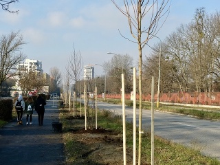 ŠKODA AUTO Slovensko vysadila