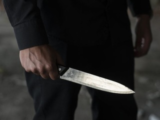 Beštiálny prípad, ktorý otriasol