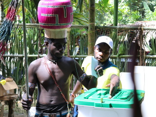 Voľby v Bouganville