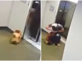 Muž zachránil psa. 