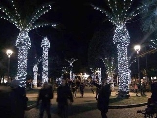 Nemravné Vianoce: Sviatočná výzdoba