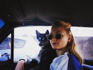 Sú mladí, talentovaní a