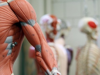 KVÍZ Overte si svoje